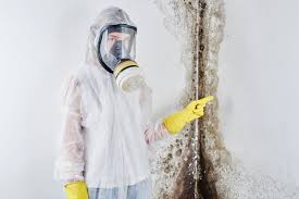 Best Airborne Mold Testing  in Marana, AZ